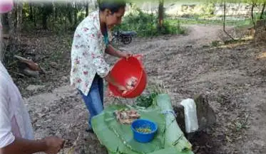 Mujer cocinando al aire libre sobre hojas verdes