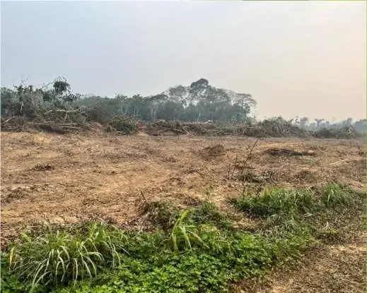 Área de bosque deforestada por chaqueo en la cuenca del Lago Moa