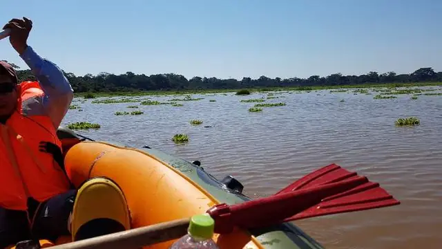 Recorrido en bote por el Lago Moa