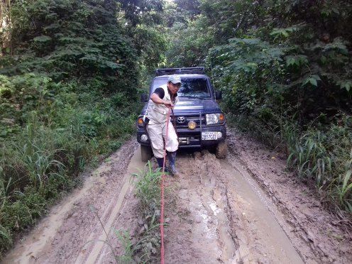 Camioneta 4x4 avanzando por un camino de barro entre la selva